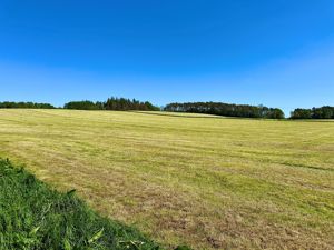 Photo 41- click for photo gallery